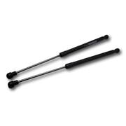 Pair of Tailgate Glass Gas Struts suit Ford Territory SX SY SZ 2004-2016