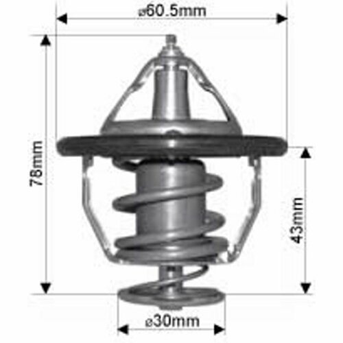 Hyundai  Grandeur Thermostat 3.8L V6 G6DA 2006-ON *Dayco*