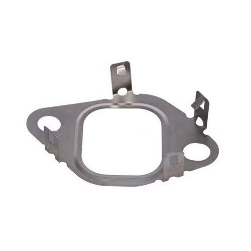 Gasket suits Part# EGR-173