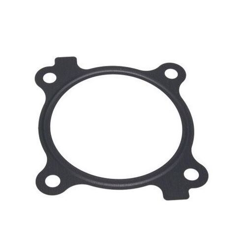 Gasket suits Part# TBO-108